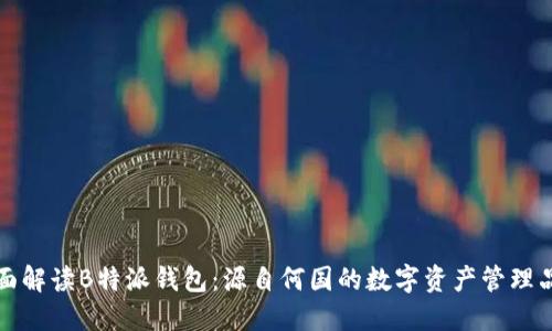 全面解读B特派钱包：源自何国的数字资产管理品牌